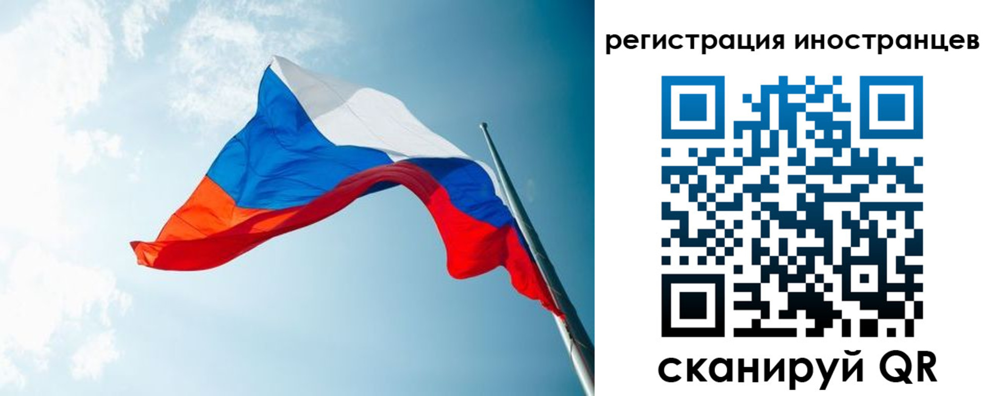 прописка для работы в Барыше
